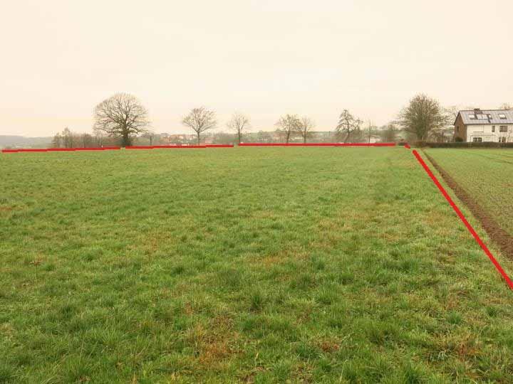 land- und forstwirtschaftlich genutztes Grundstück