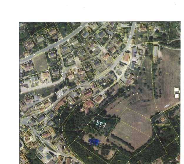 land- und forstwirtschaftlich genutztes Grundstück