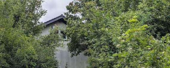 Einfamilienhaus, Keller, Hobbyraum