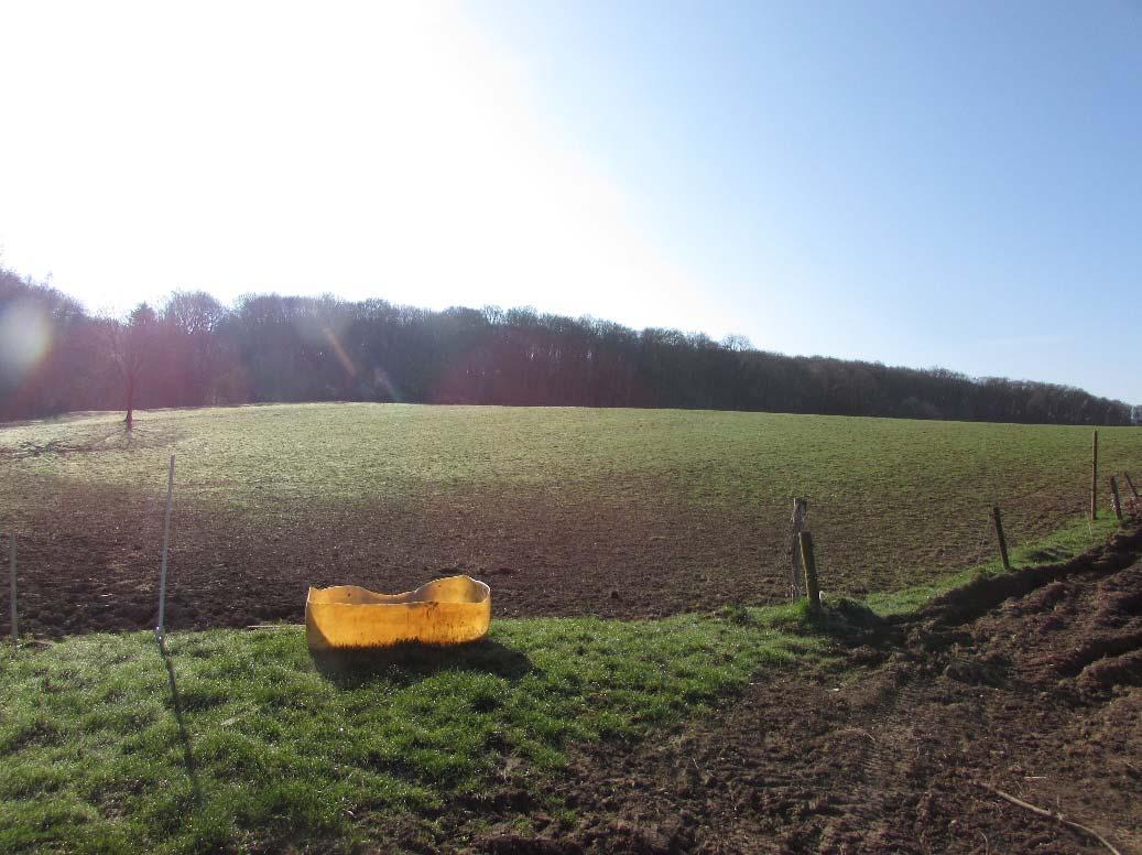 land- und forstwirtschaftlich genutztes Grundstück