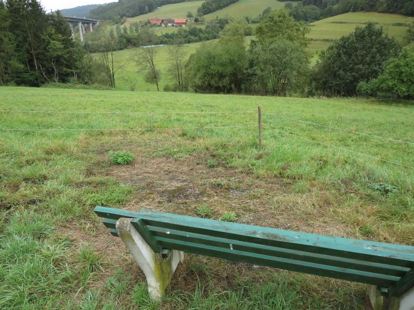 land- und forstwirtschaftlich genutztes Grundstück
