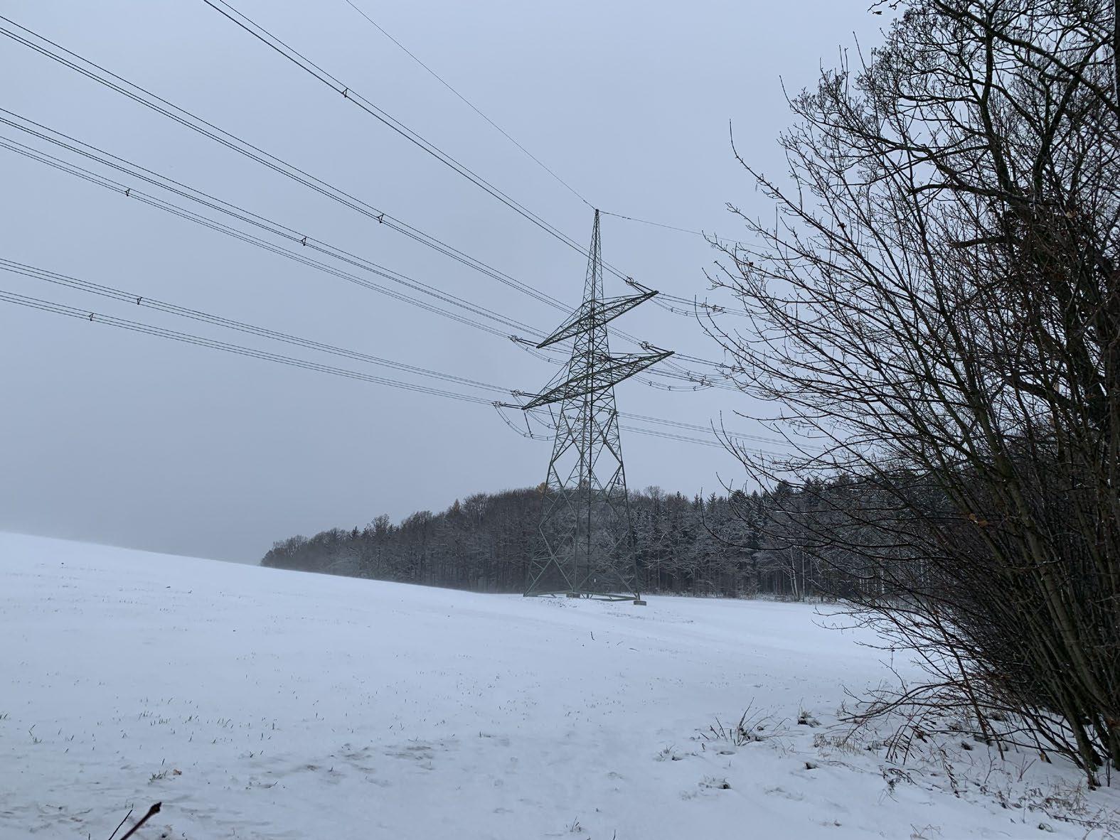 land- und forstwirtschaftlich genutztes Grundstück
