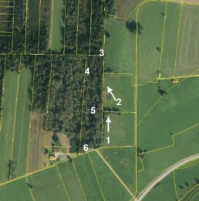 Hofstelle mit landwirtschaftlichen Flächen