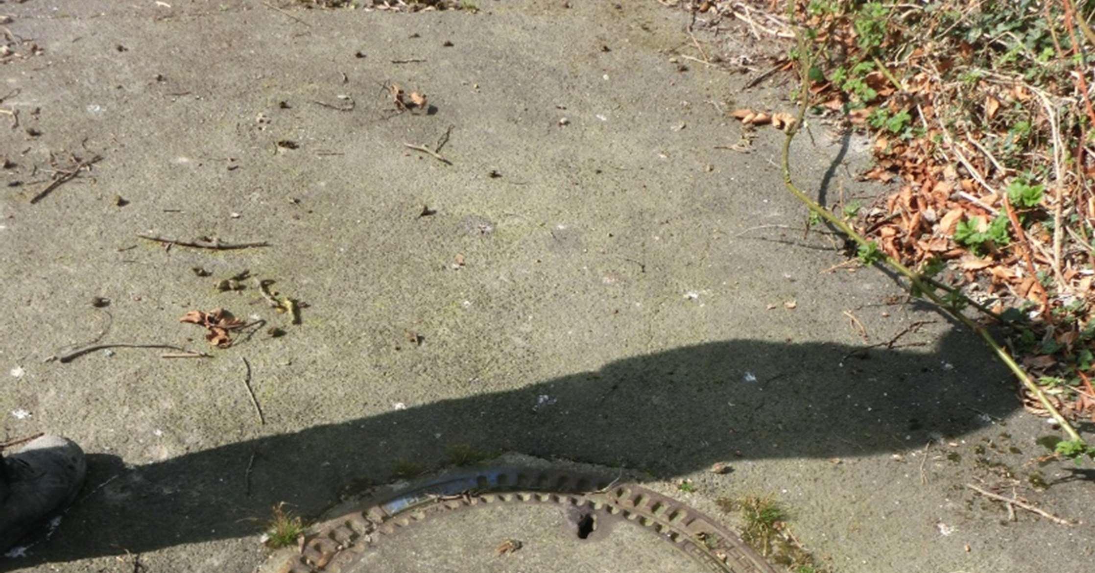 unbebautes Grundstück, gewerblich genutztes Grundstück