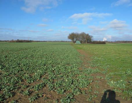 landwirtschaftlich genutzte Grundstücke