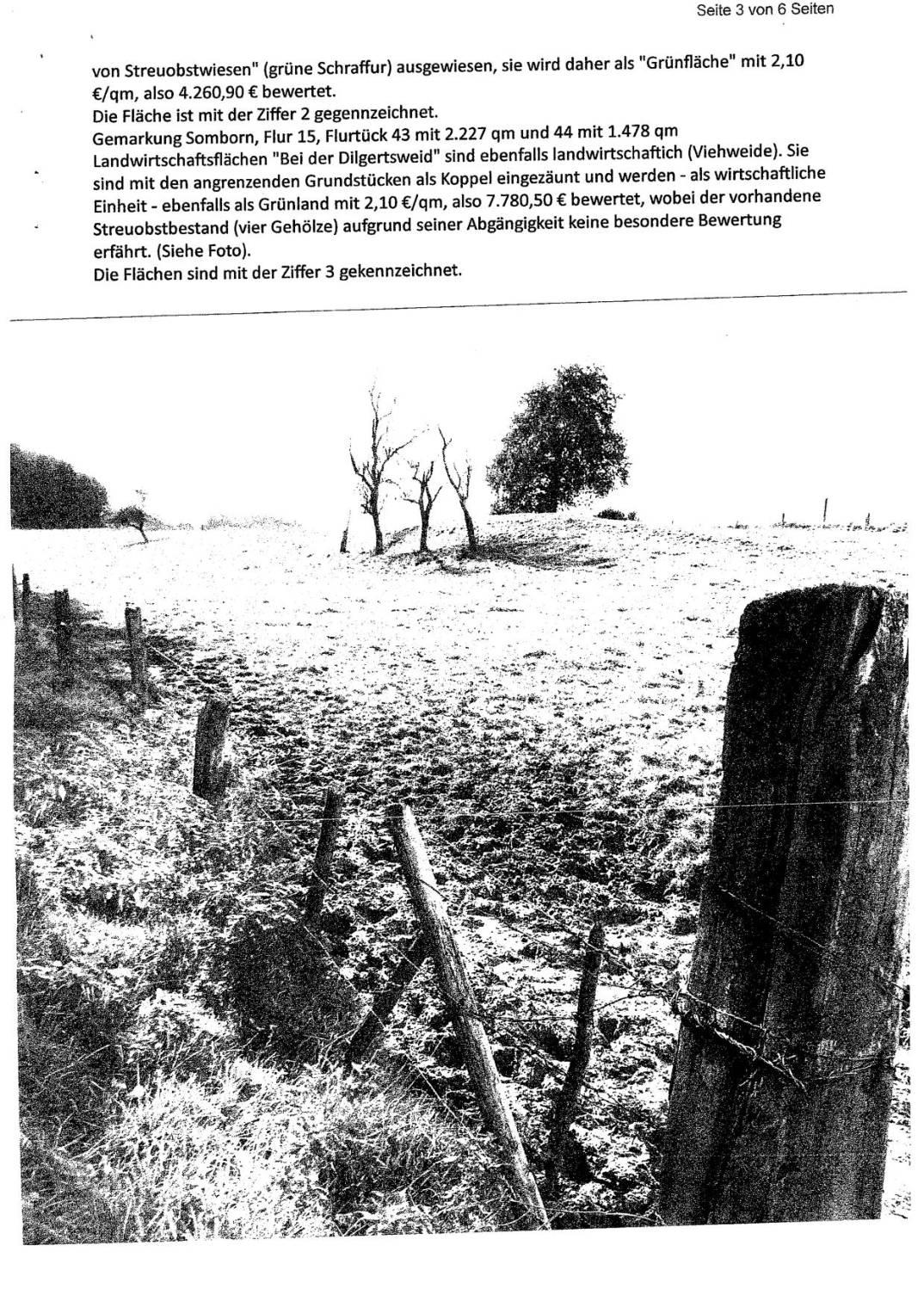 land- und forstwirtschaftlich genutztes Grundstück