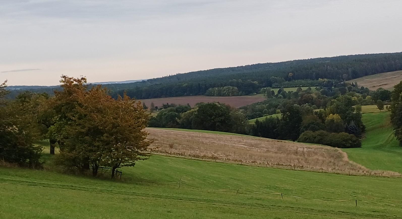 land- und forstwirtschaftlich genutztes Grundstück