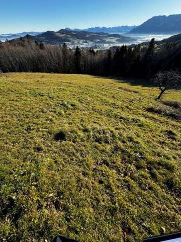 Landwirtschaftsfläche