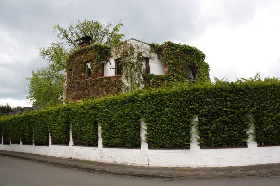Einfamilienhaus