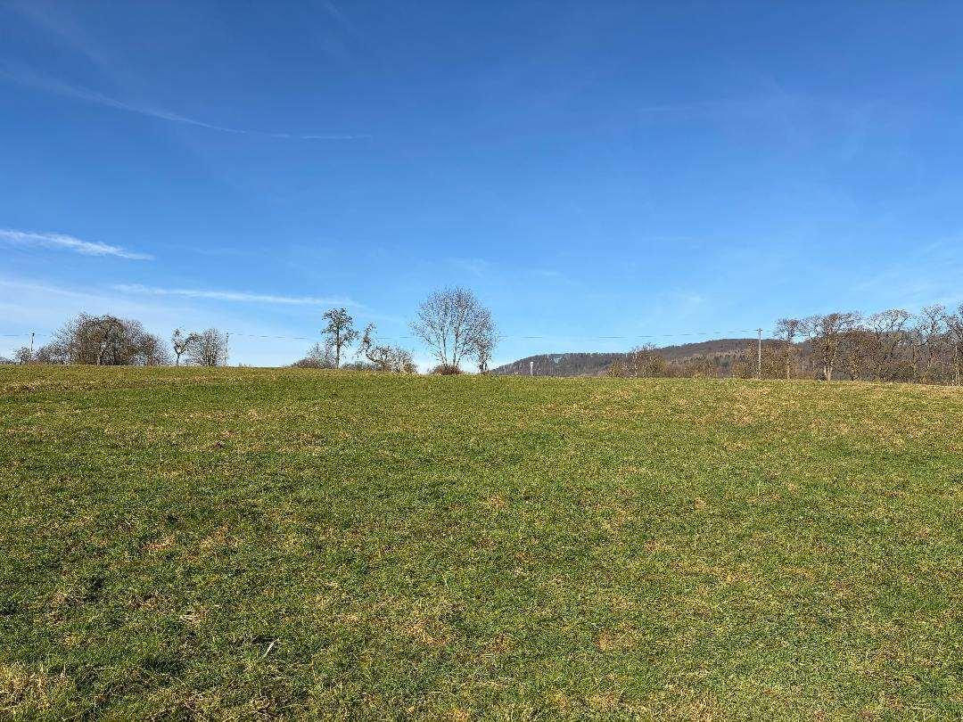 Landwirtschaftsfläche