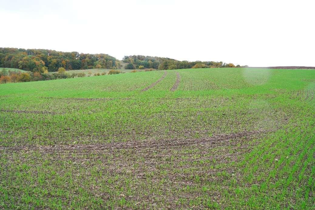land- und forstwirtschaftliche Grundstücke