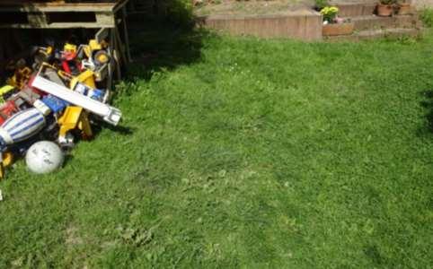 unbebautes Grundstück