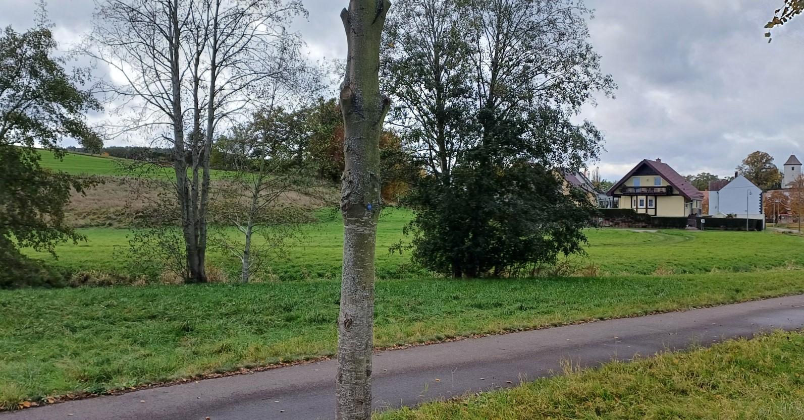 land- und forstwirtschaftlich genutztes Grundstück