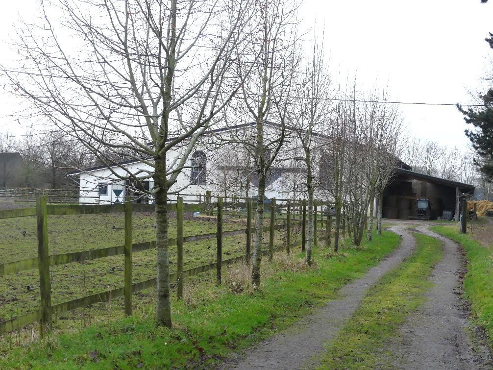 Baugrundstück, Einfamilienhaus, ehemaliges landwirtschaftl. Anwesen bestehend aus einem , Nebengebäuden, Stalltrakt, Bewegungshalle, Weidegrundstücken,