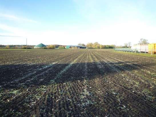 land- und forstwirtschaftlich genutztes Grundstück, Landwirtschaftsfläche (Ackerland und Brachland)