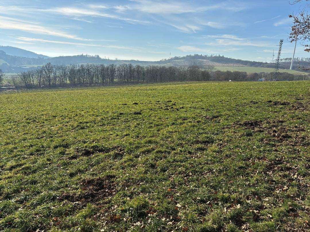 land- und forstwirtschaftlich genutztes Grundstück