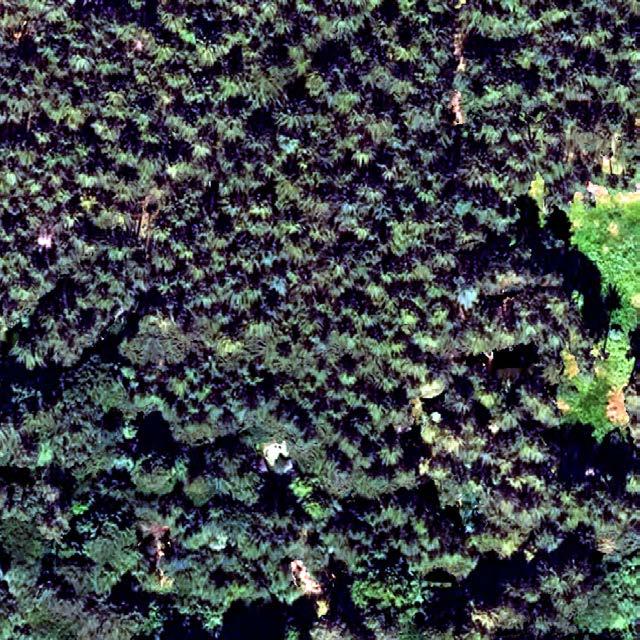 land- und forstwirtschaftlich genutztes Grundstück