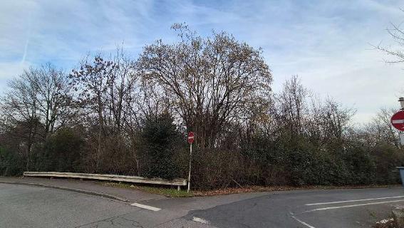 unbebautes Grundstück