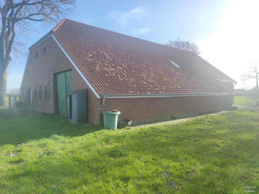 Einfamilienhaus