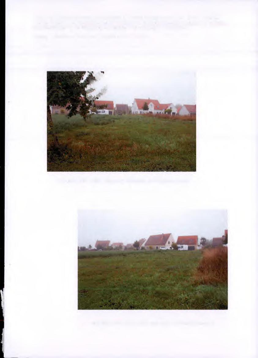 unbebautes Grundstück