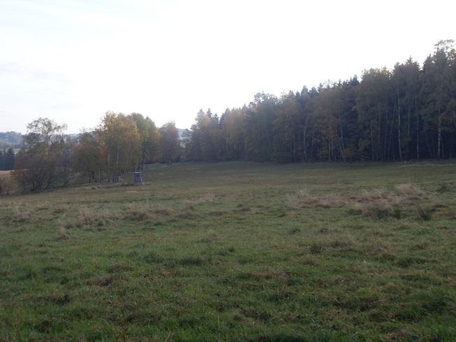 land- und forstwirtschaftlich genutztes Grundstück