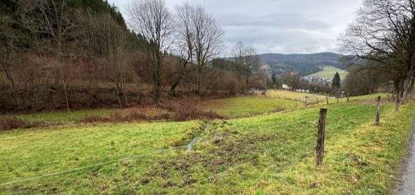 land- und forstwirtschaftlich genutztes Grundstück