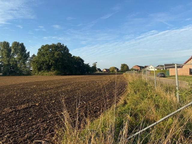 unbebaute Grundstücke