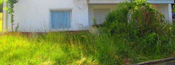 Einfamilienhaus