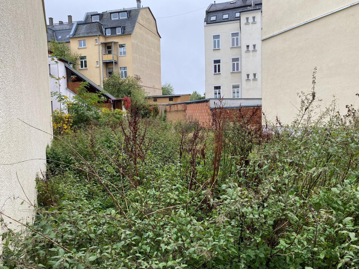 freigelegtes Grundstück