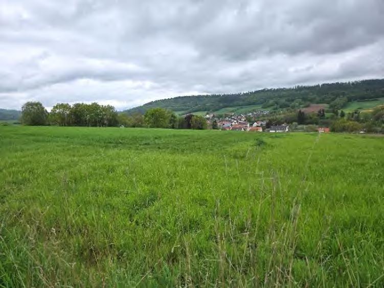 land- und forstwirtschaftlich genutztes Grundstück