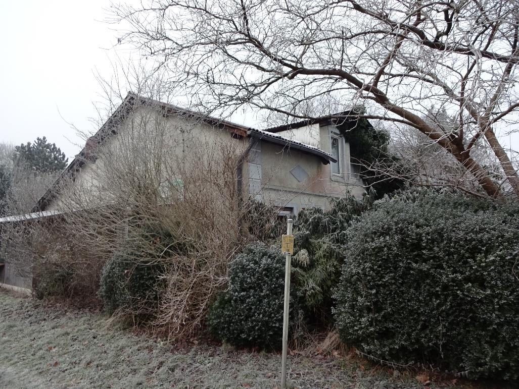 Einfamilienhaus