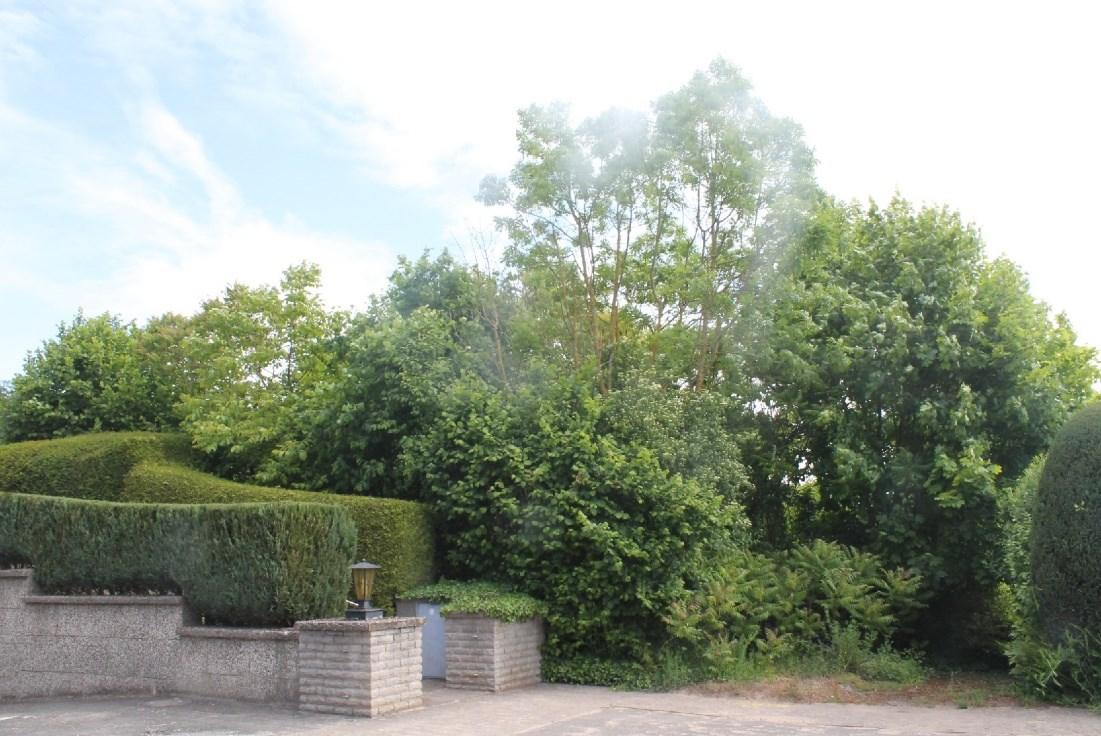 unbebautes Grundstück