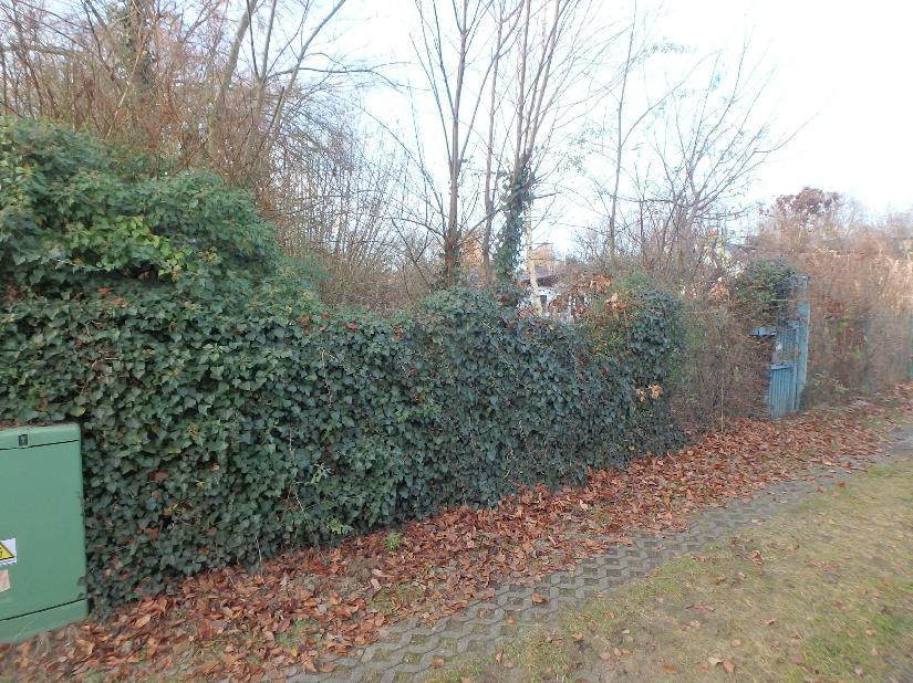 Sonstiges, Laubengrundstück