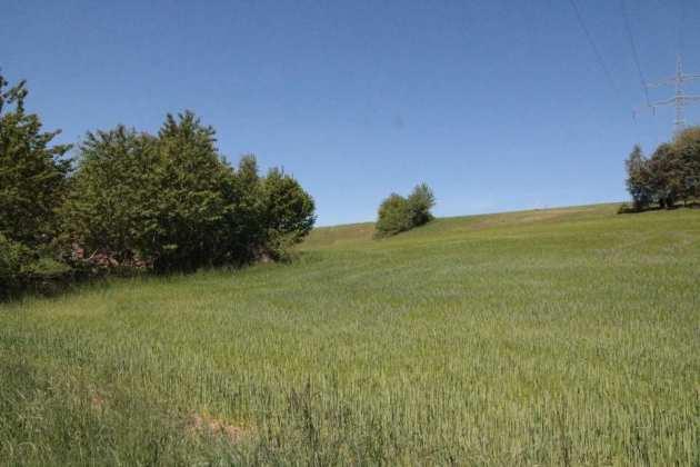 Waldfläche, Gebäude- und Freifläche, Landwirtschaftsfläche