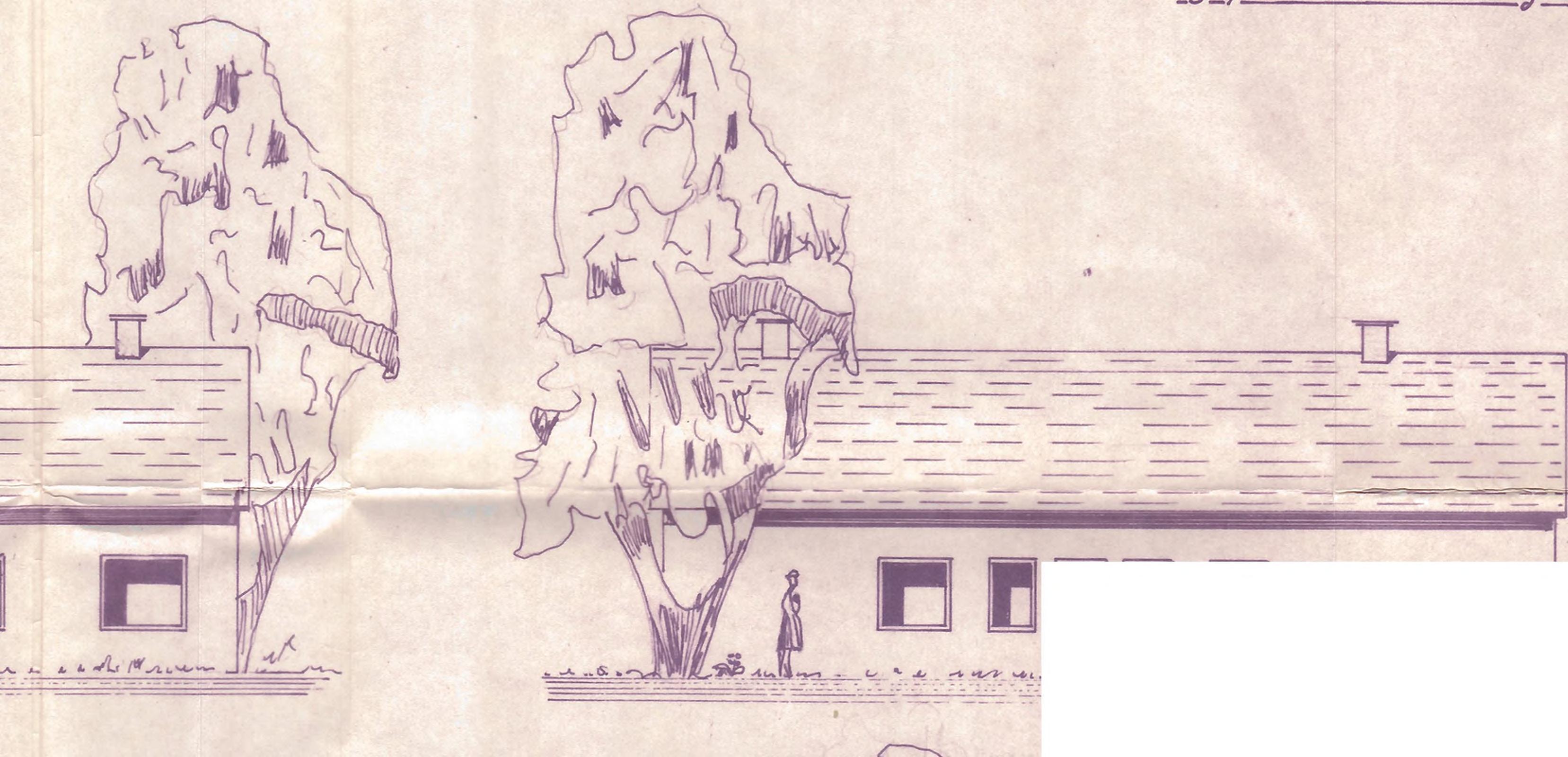 Einfamilienhaus, Garage, Sonstiges