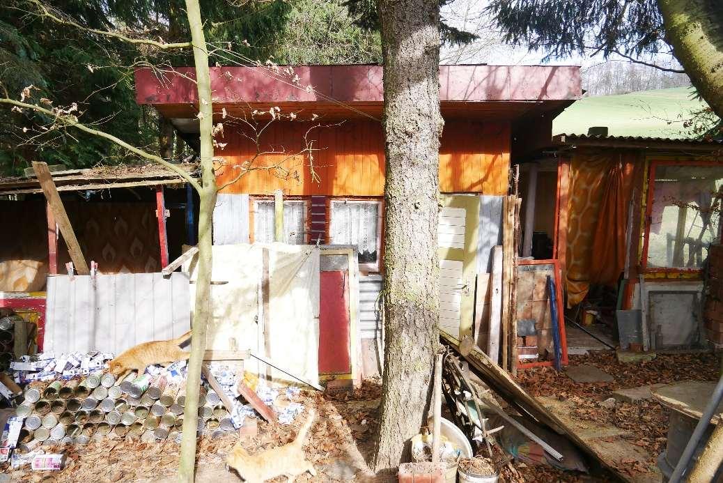 Einfamilienhaus, Garage, land- und forstwirtschaftlich genutztes Grundstück