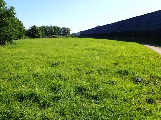unbebautes Grundstück, land- und forstwirtschaftlich genutztes Grundstück