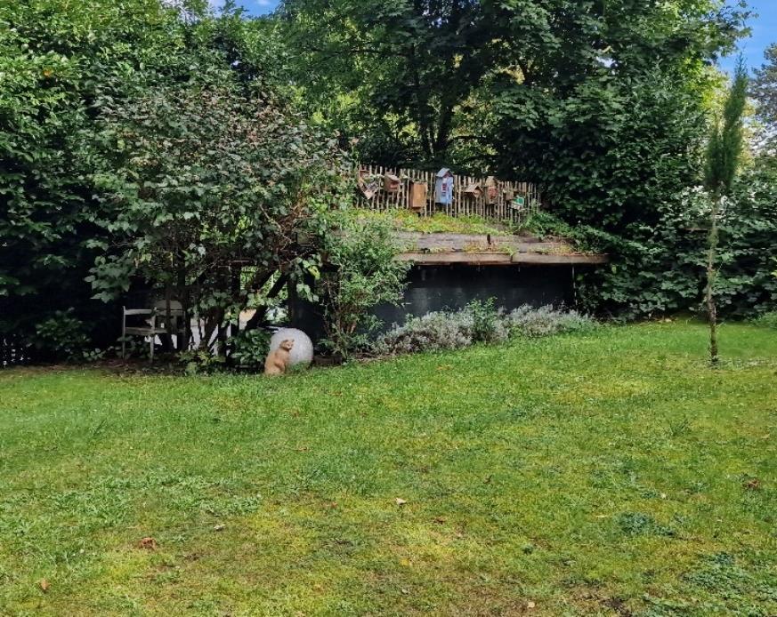 Einfamilienhaus