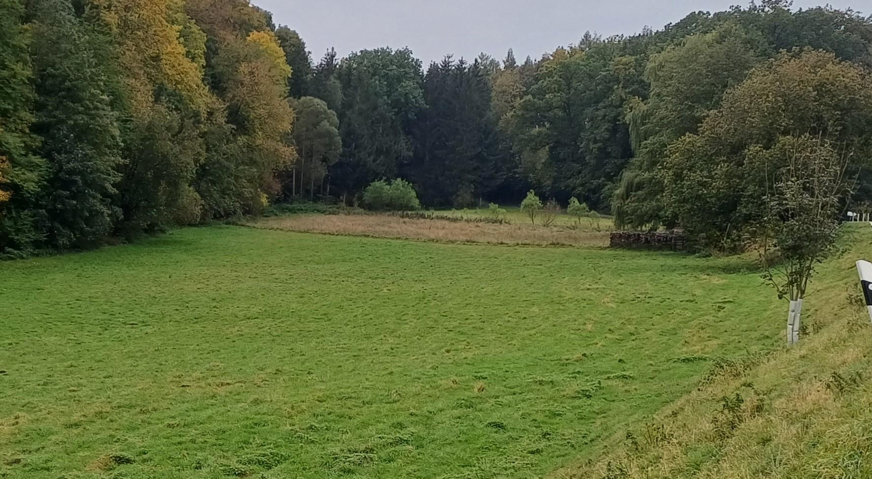 land- und forstwirtschaftlich genutztes Grundstück
