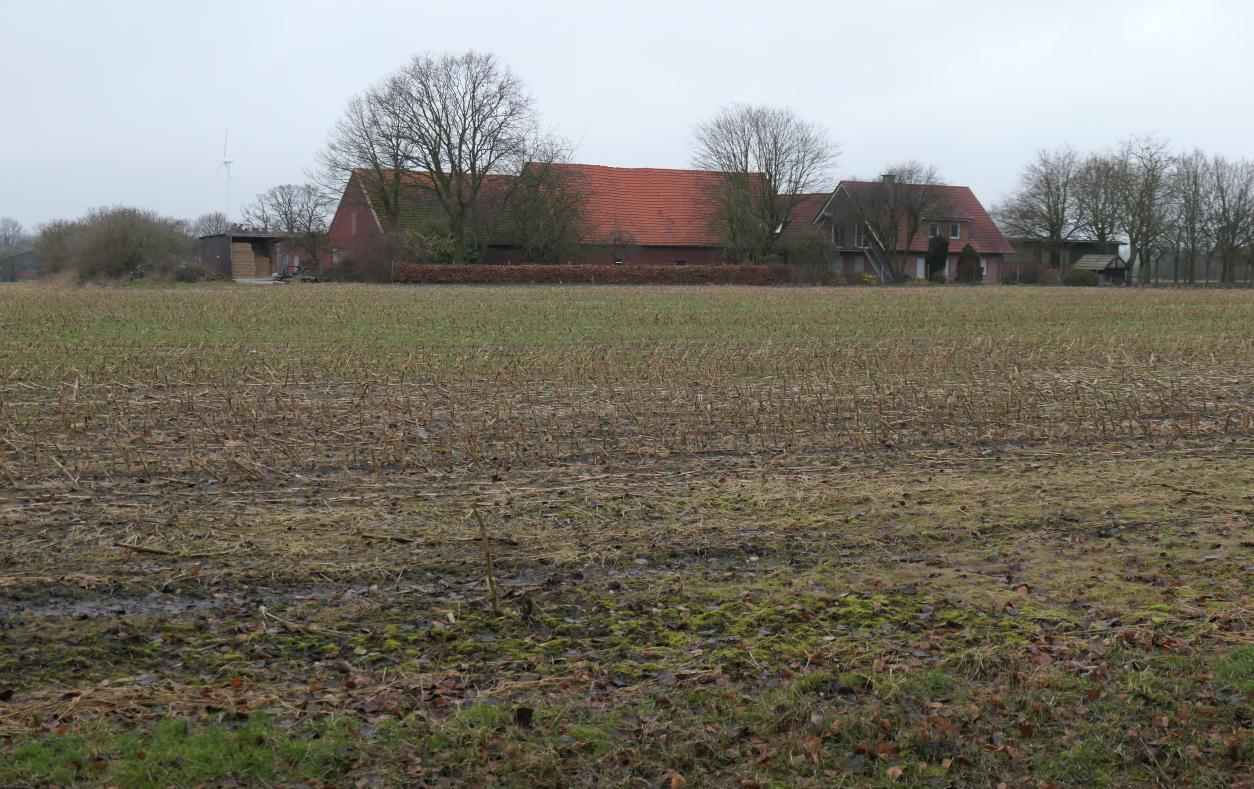 Wohn- und Landwirtschaftsgebäude mit Ackerfläche