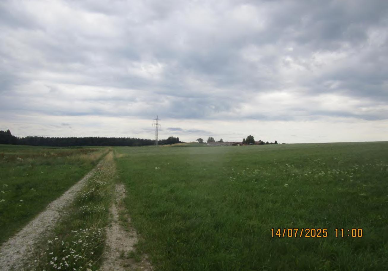 Sonstiges, Sonstiges