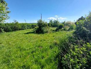 Einfamilienhaus und Schuppen, Gartengrundstück - teilweise überbaut, Gartengrundstück
