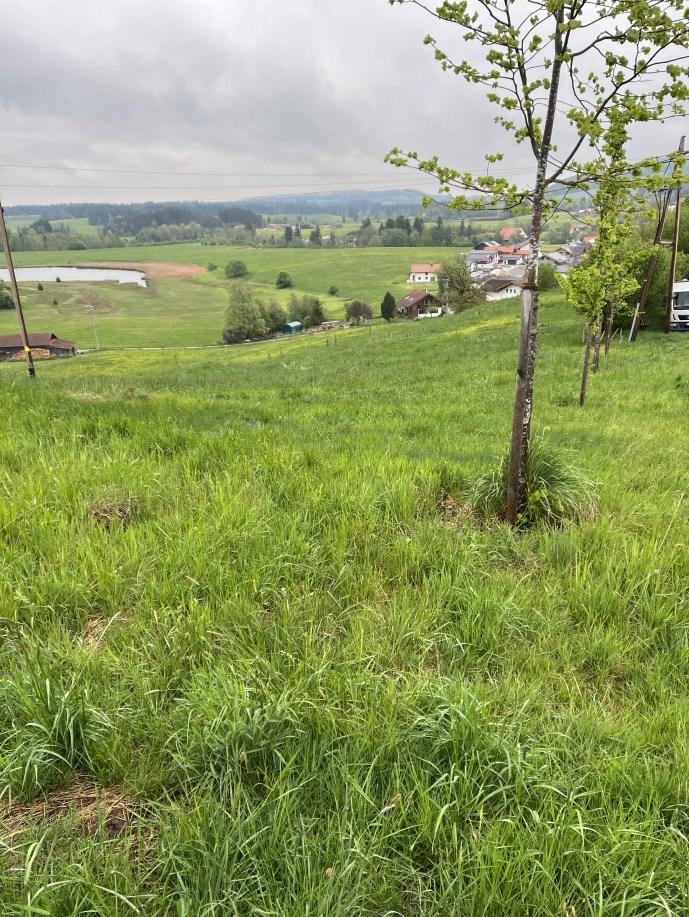 land- und forstwirtschaftlich genutztes Grundstück
