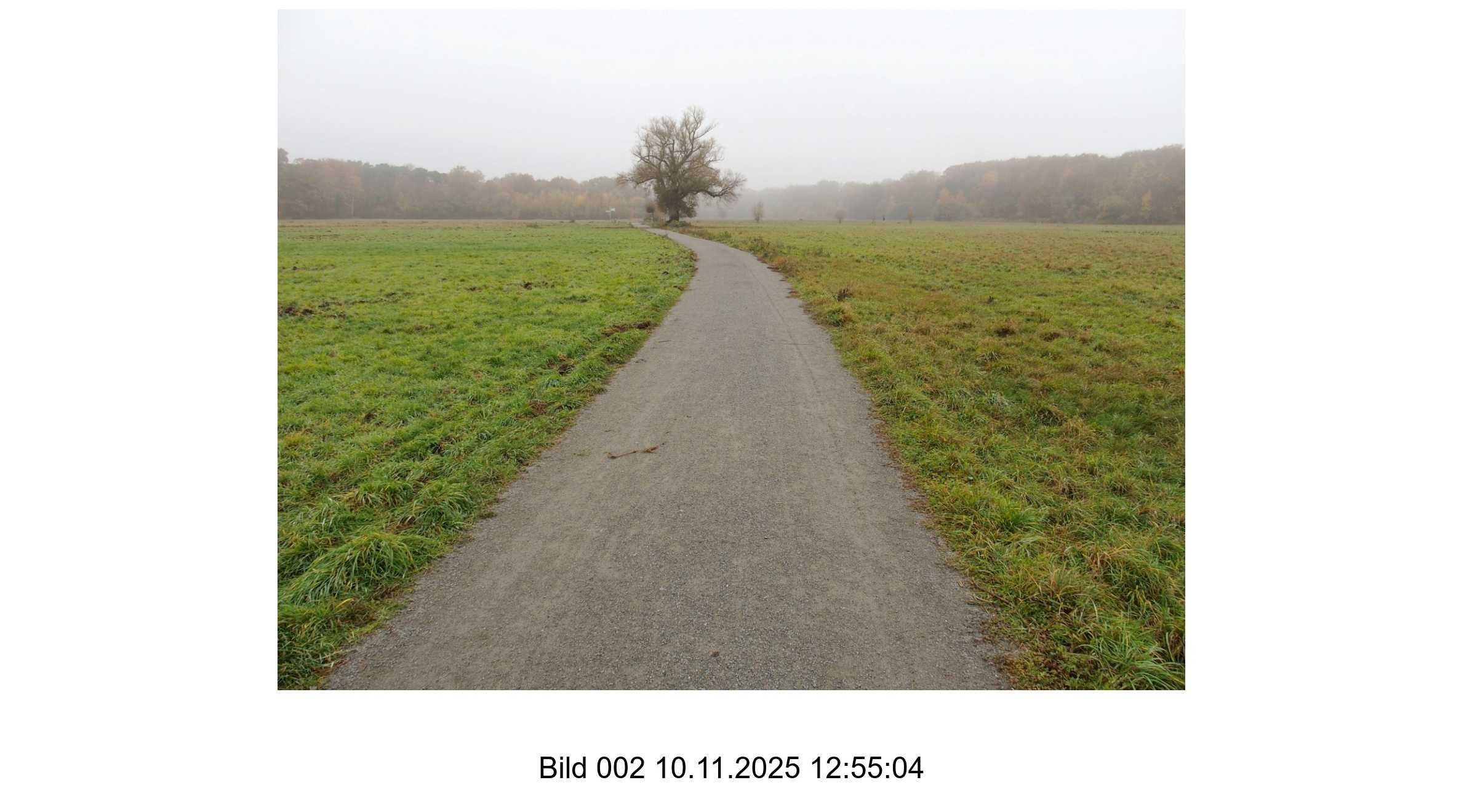 Ackerländer und Grünfläche (Wiese)