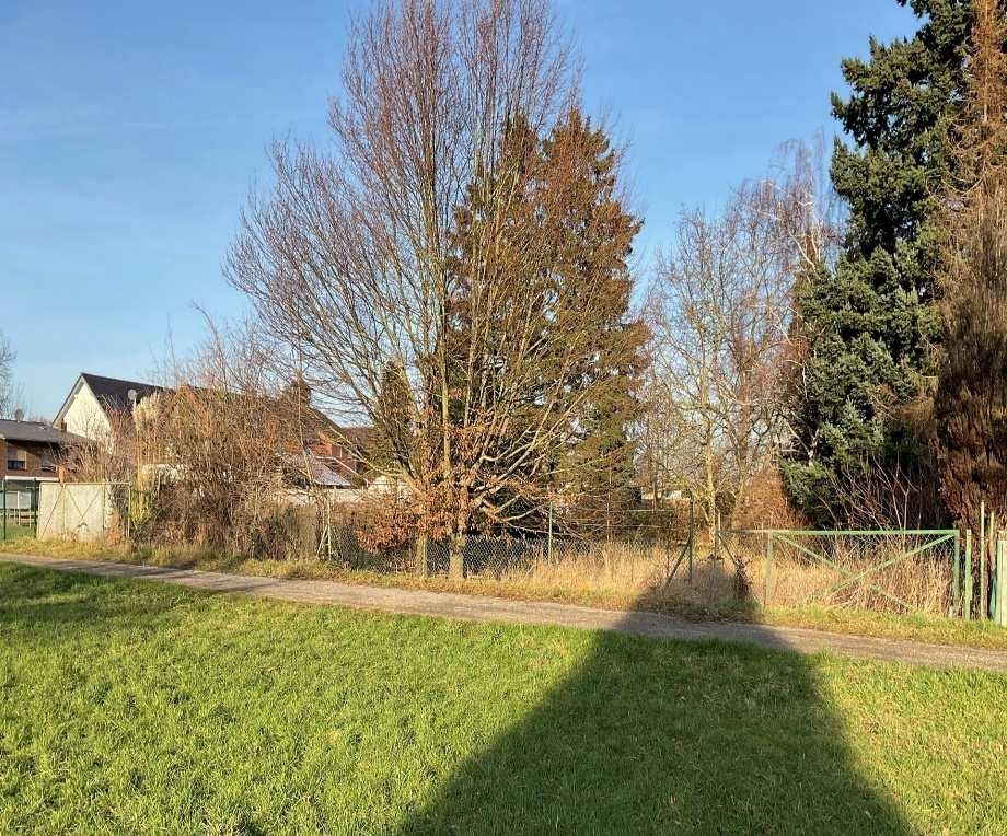 unbebautes Grundstück