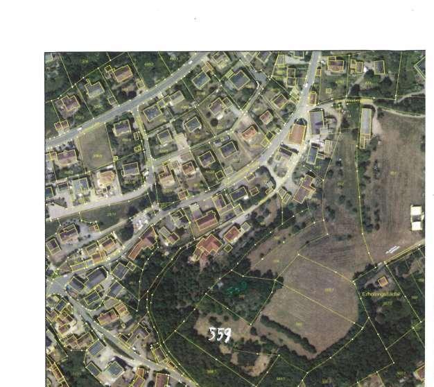 land- und forstwirtschaftlich genutztes Grundstück