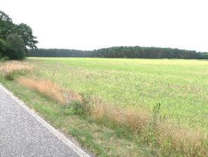Landwirtschaftsfläche