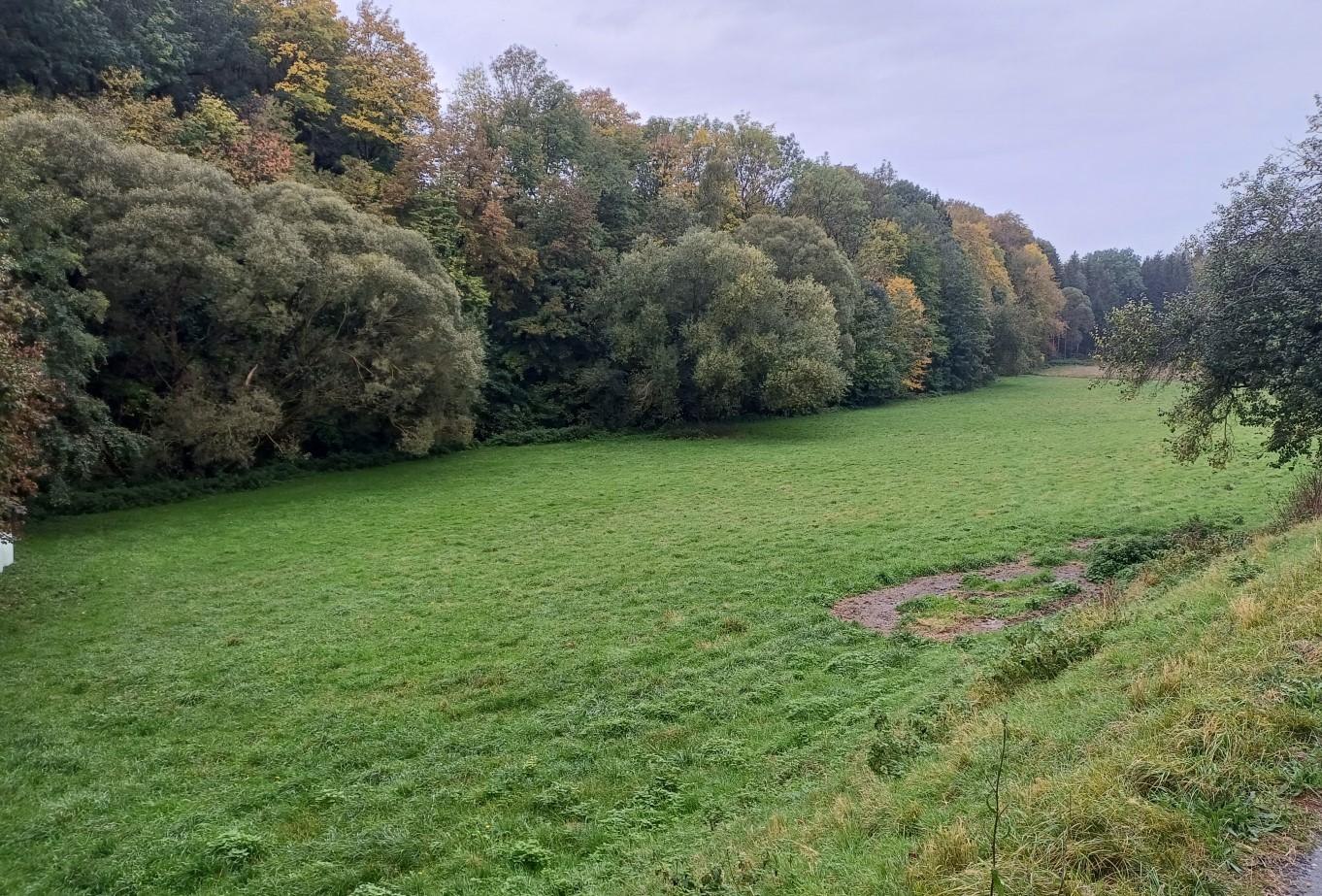 land- und forstwirtschaftlich genutztes Grundstück