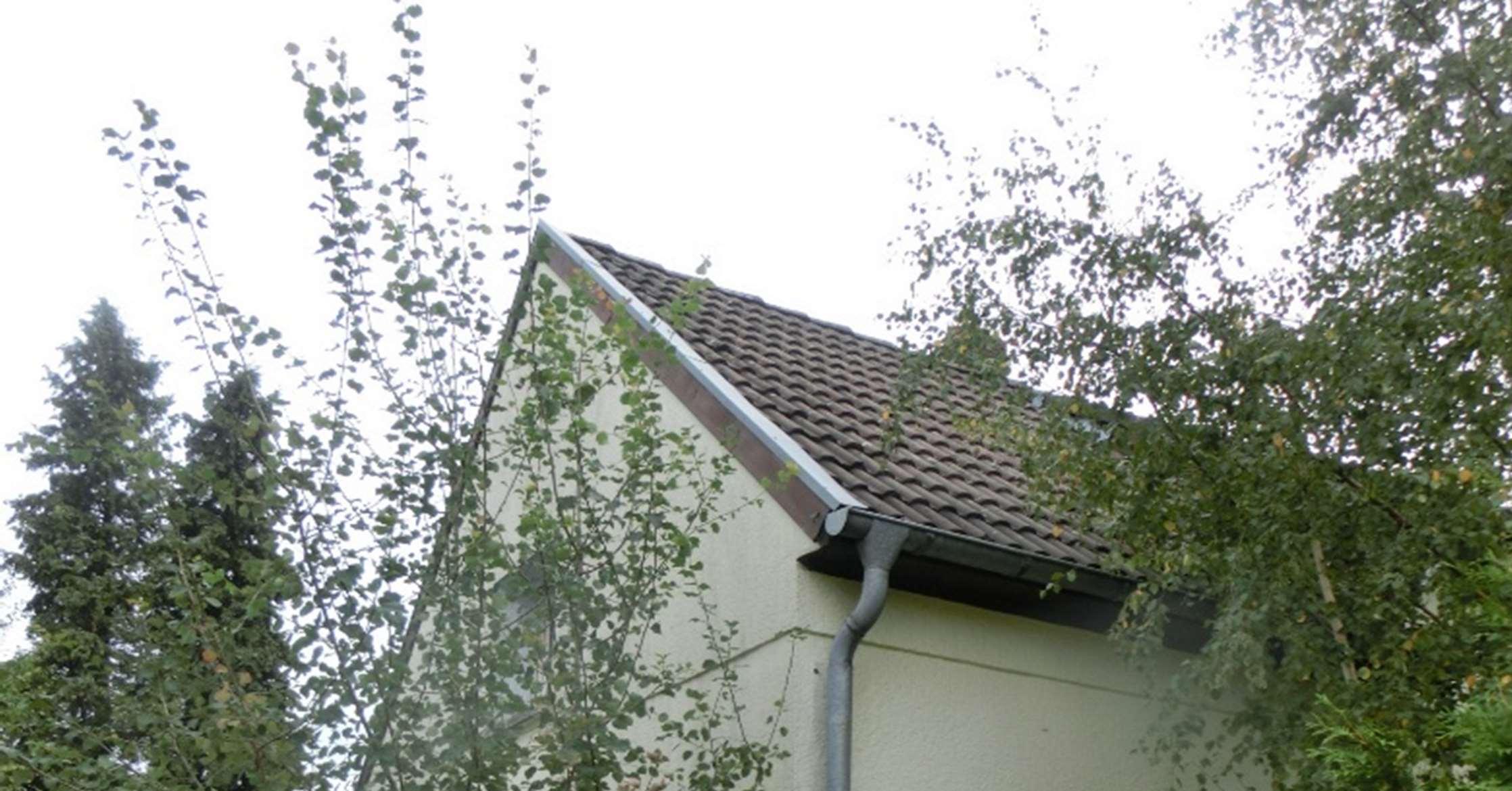 Doppelhaushälfte