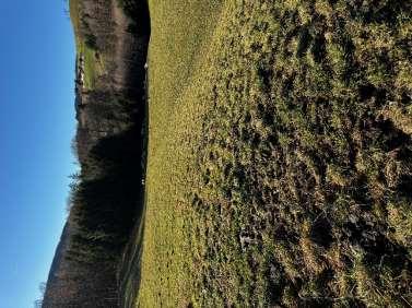 Waldfläche, Landwirtschaftsfläche